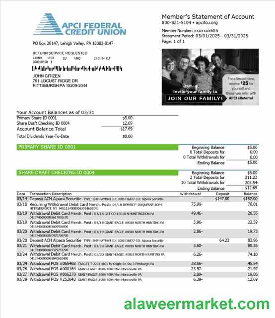 USA APCI Federal Credit Union statement of account Word and PDF template